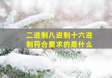 二进制八进制十六进制符合要求的是什么