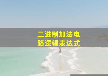 二进制加法电路逻辑表达式