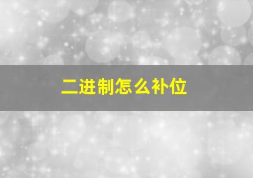 二进制怎么补位