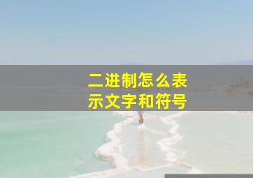 二进制怎么表示文字和符号