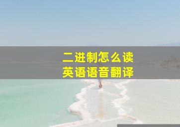 二进制怎么读英语语音翻译