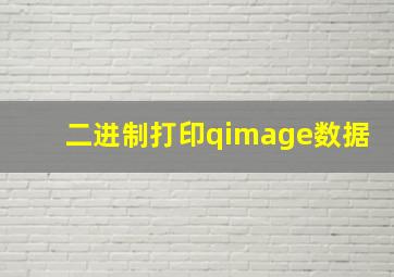 二进制打印qimage数据