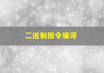 二进制指令编译