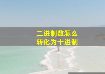 二进制数怎么转化为十进制