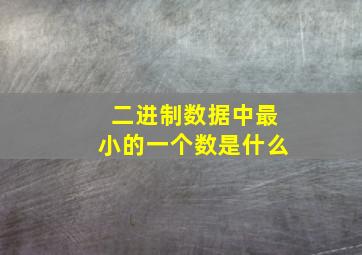 二进制数据中最小的一个数是什么