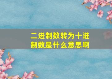 二进制数转为十进制数是什么意思啊