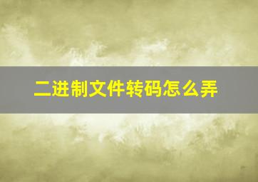 二进制文件转码怎么弄