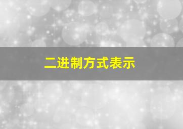 二进制方式表示