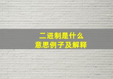 二进制是什么意思例子及解释