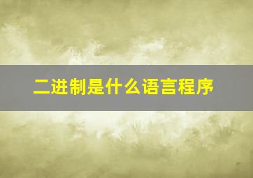 二进制是什么语言程序