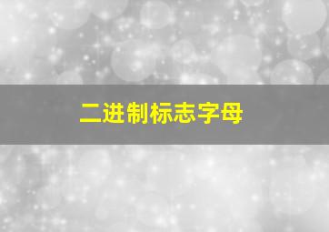 二进制标志字母