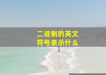 二进制的英文符号表示什么