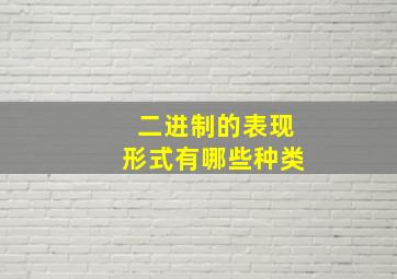 二进制的表现形式有哪些种类