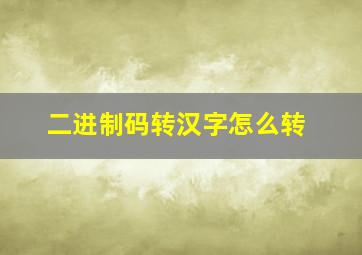 二进制码转汉字怎么转