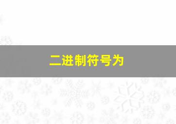 二进制符号为