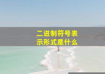 二进制符号表示形式是什么