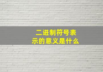 二进制符号表示的意义是什么