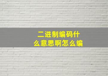 二进制编码什么意思啊怎么编