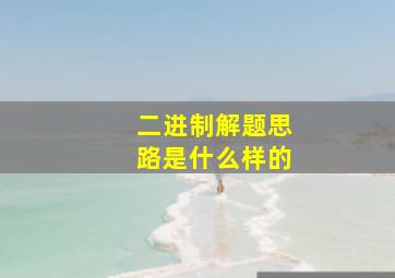 二进制解题思路是什么样的