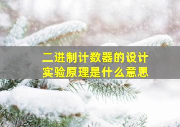 二进制计数器的设计实验原理是什么意思