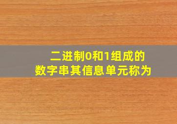 二进制0和1组成的数字串其信息单元称为