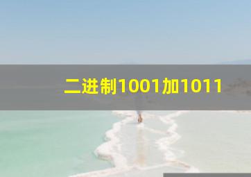 二进制1001加1011