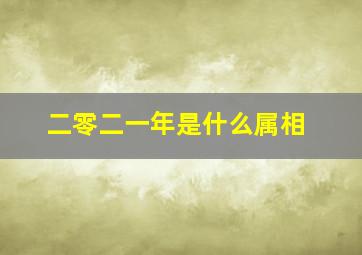 二零二一年是什么属相