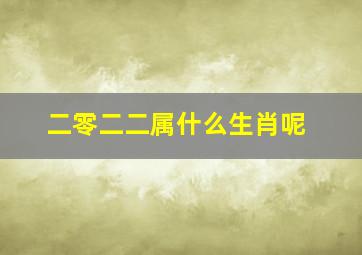 二零二二属什么生肖呢