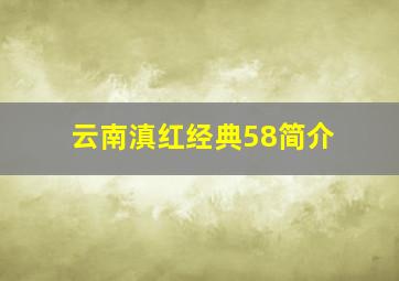 云南滇红经典58简介