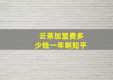 云茶加盟费多少钱一年啊知乎