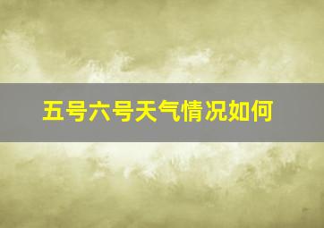 五号六号天气情况如何