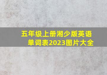 五年级上册湘少版英语单词表2023图片大全