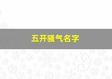 五开骚气名字