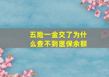 五险一金交了为什么查不到医保余额