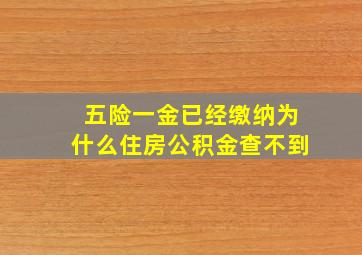 五险一金已经缴纳为什么住房公积金查不到