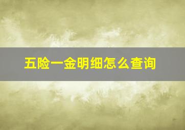 五险一金明细怎么查询