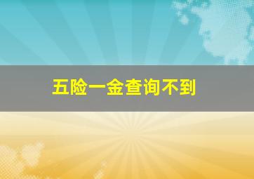 五险一金查询不到