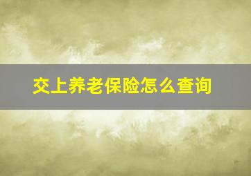 交上养老保险怎么查询