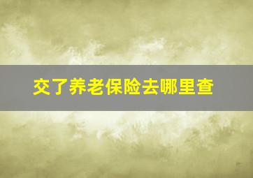 交了养老保险去哪里查