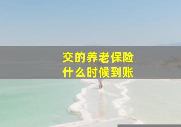 交的养老保险什么时候到账