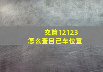 交管12123怎么查自己车位置