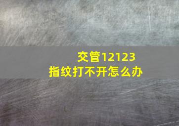 交管12123指纹打不开怎么办