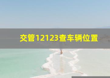 交管12123查车辆位置