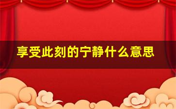 享受此刻的宁静什么意思