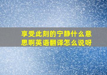 享受此刻的宁静什么意思啊英语翻译怎么说呀