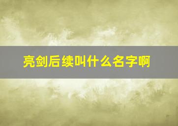 亮剑后续叫什么名字啊