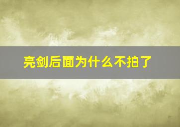 亮剑后面为什么不拍了