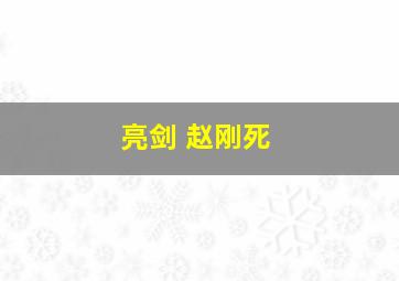 亮剑 赵刚死