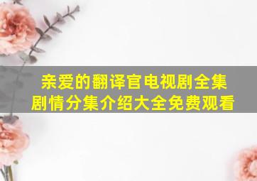 亲爱的翻译官电视剧全集剧情分集介绍大全免费观看