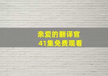 亲爱的翻译官41集免费观看